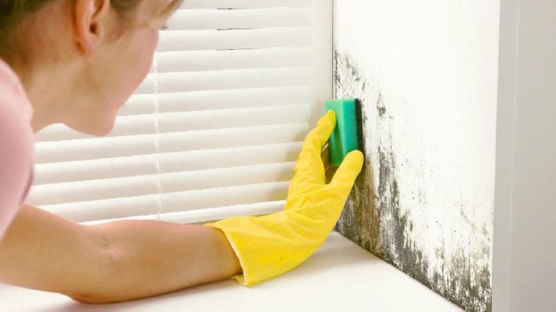 Cómo limpiar el moho de la pared con productos caseros