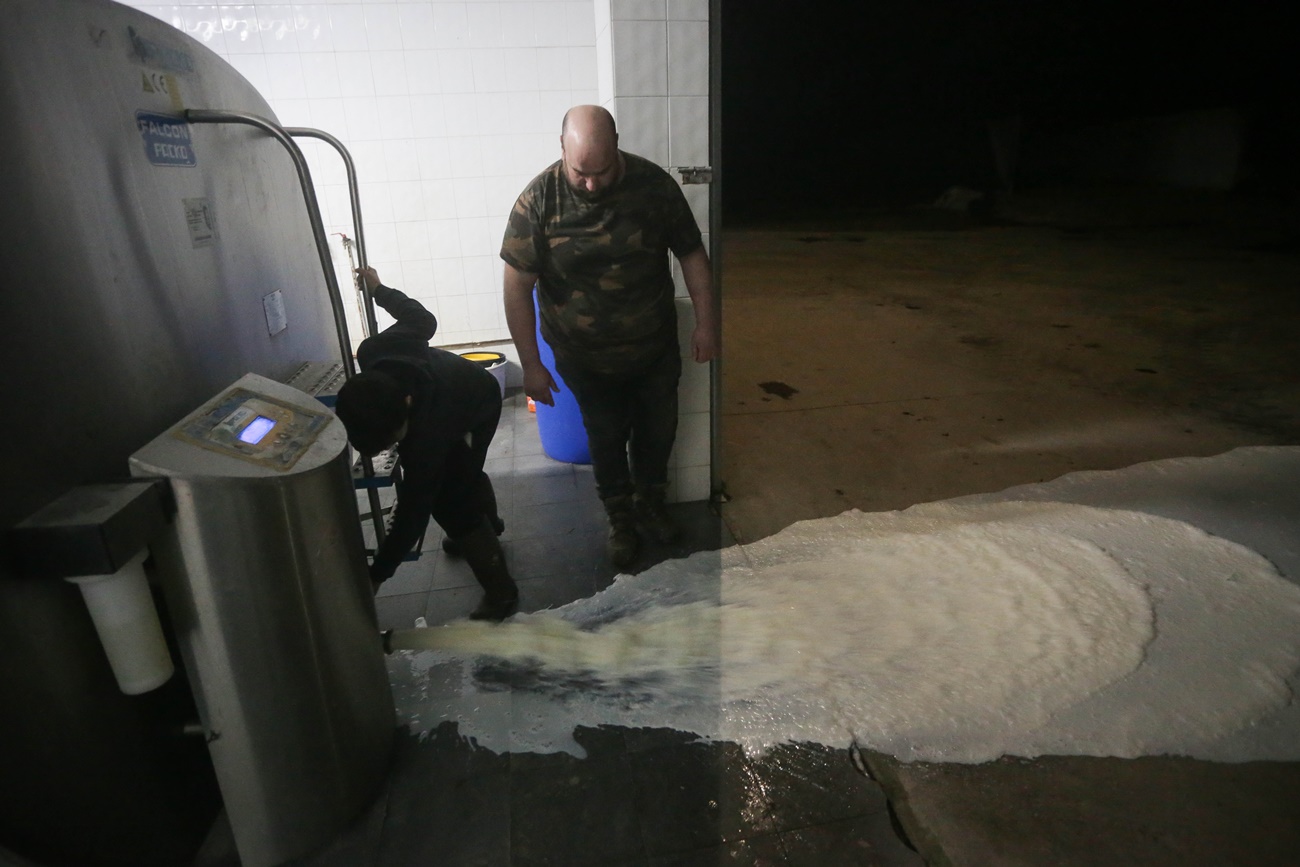 Un ganadero lucense tira la leche de sus vacas estos días atrás tras el paro de la industria láctea (Foto: Europa Press).