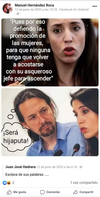 Insultos Irene Montero