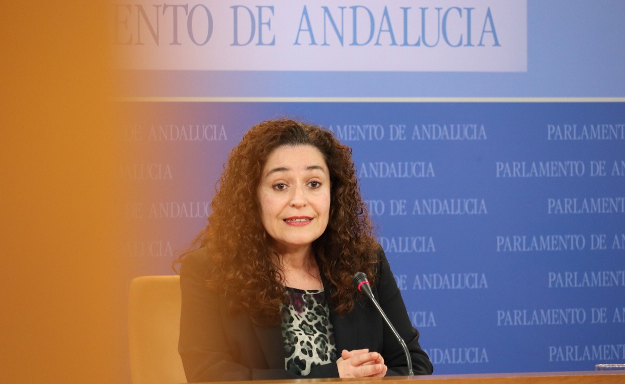 Inmaculada Nieto, portavoz de Unidas Podemos.