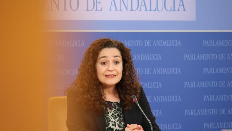 Inmaculada Nieto, portavoz de Unidas Podemos.