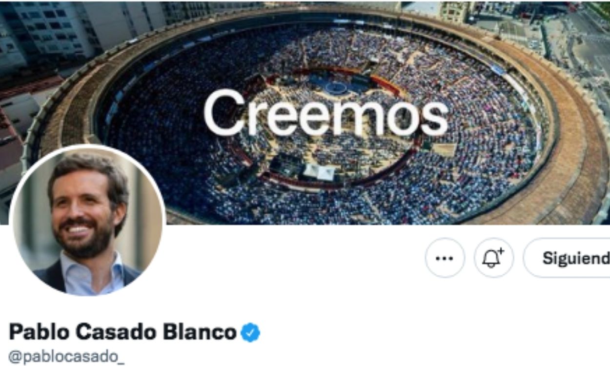 Perfil de Twitter de Pablo Casado