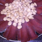 Mojama con almendras saladas e ijada de atún en la sal