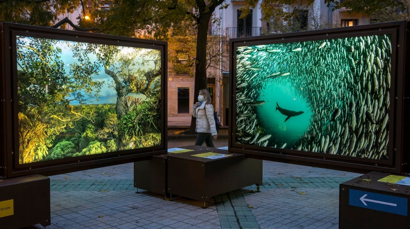 De Polo a Polo, una exposición que conciencia