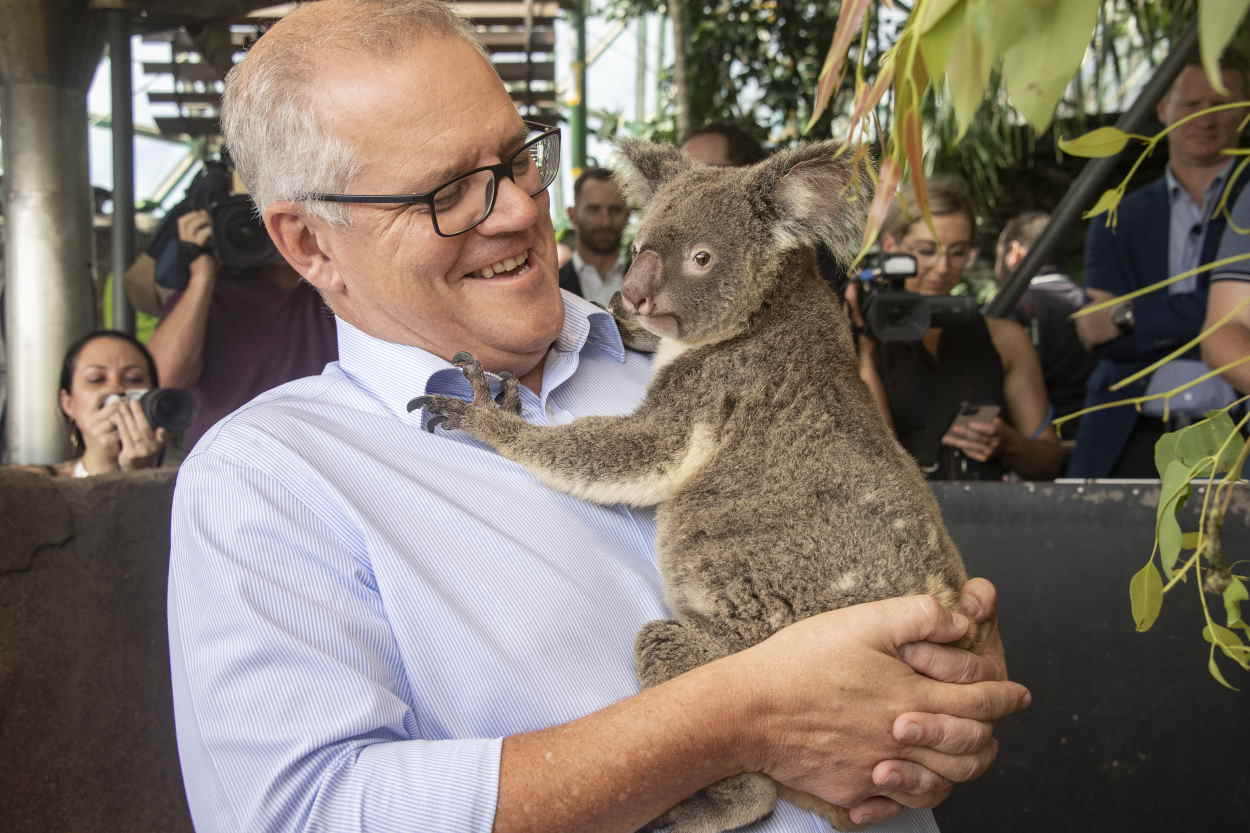 El primer ministro de Australia, Scott Morrison, sostiene un koala para promocionar el turismo