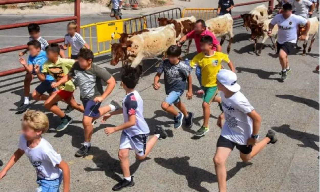 PACMA pide la suspensión de una Feria con bueyada infantil