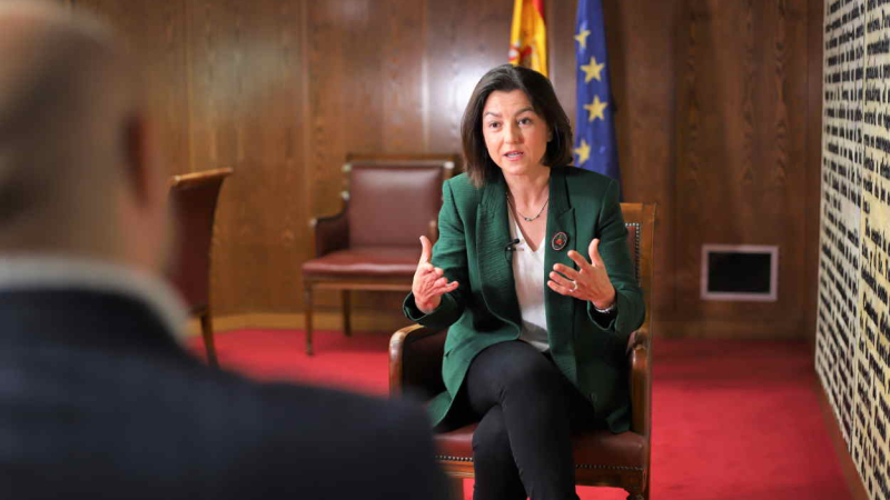 La portavoz del PSOE en el Senado, Eva Granados. La portavoz del PSOE en el Senado, Eva Granados.