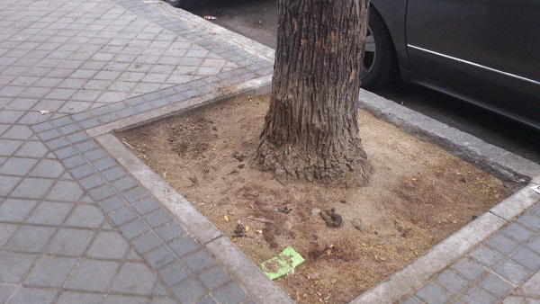 ¿Ha llegado la limpieza a su barrio? ¿Nota que su calle está más limpia?