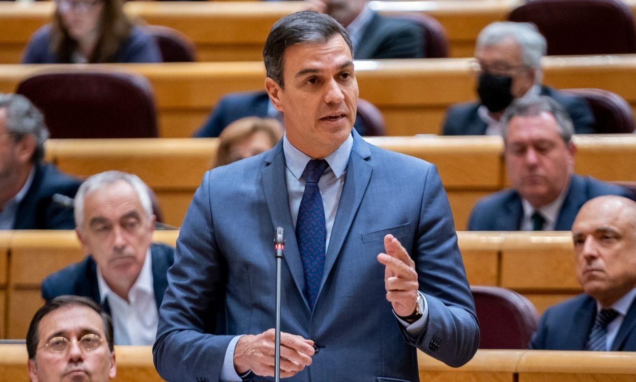 El presidente del Gobierno, Pedro Sánchez, en la sesión de control en el Senado. EP