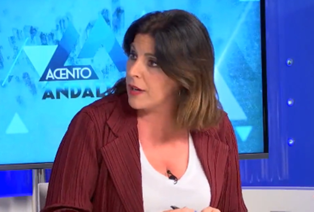La portavoz del PSOE, Ángeles Férriz.