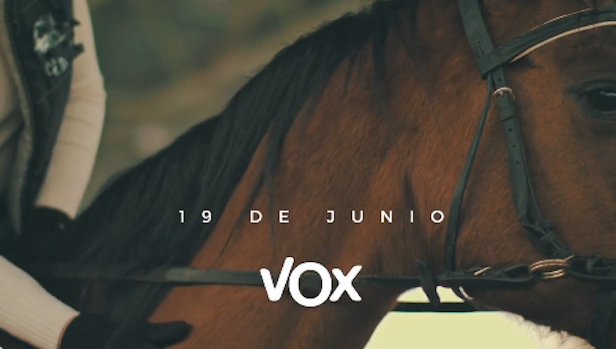 Captura de pantalla de un vídeo de la precampaña andaluza de Vox.