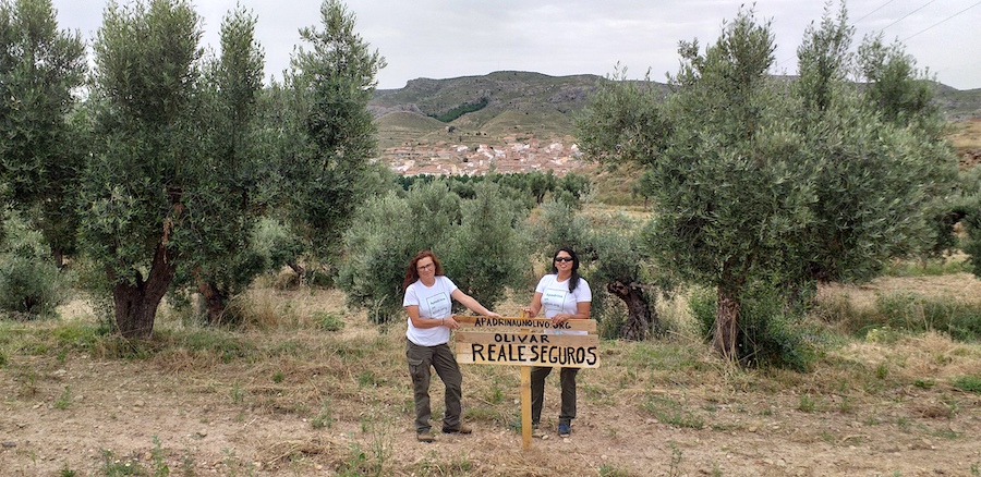 El proyecto Mucho Más Que Un Olivar crea empleo femenino rural en la España Vaciada