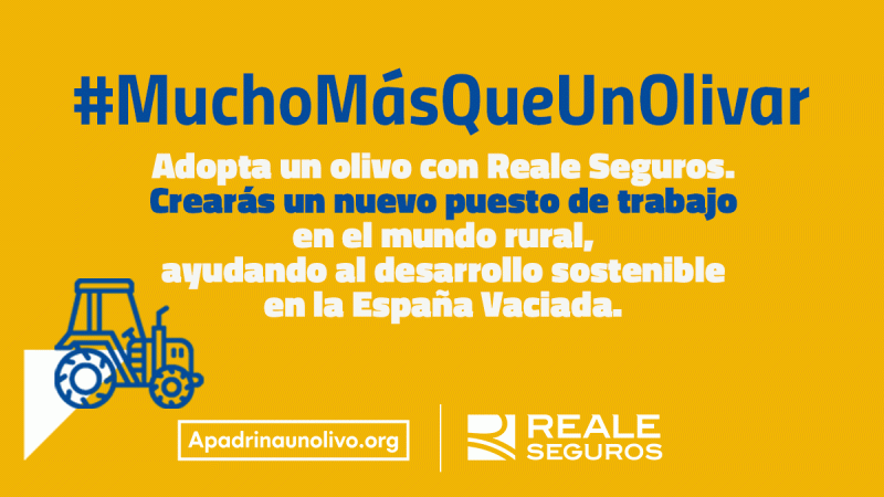 Mucho Más Que Un Olivar   Campaña de Reale Seguros