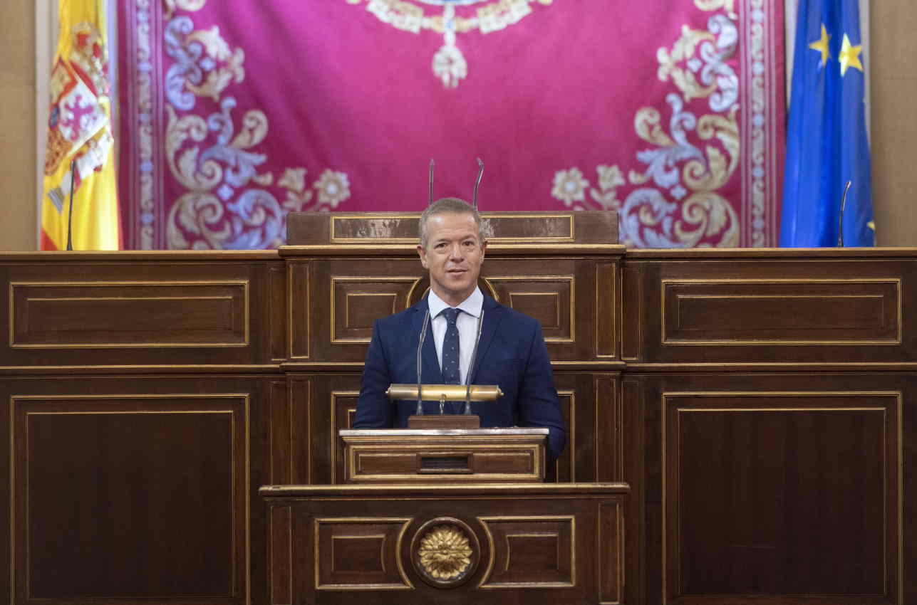 El presidente del Senado, Ander Gil.