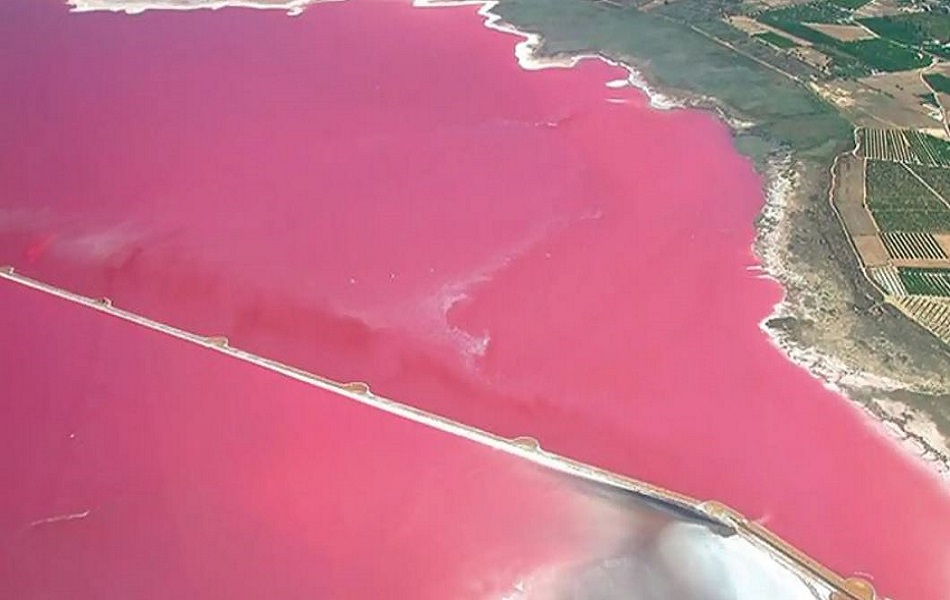 Diputación de Alicante. Laguna Rosa.