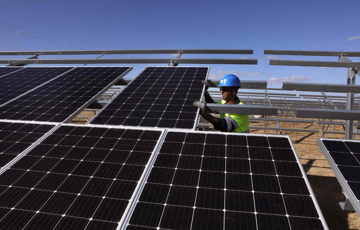 Un trabajador instala plantas fotovoltaicas