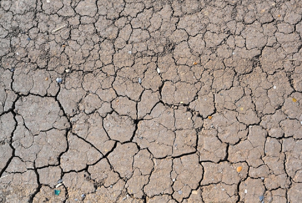 Arabia Saudí, África y Latinoamérica apuestan por la lucha contra la desertificación. Servimedia