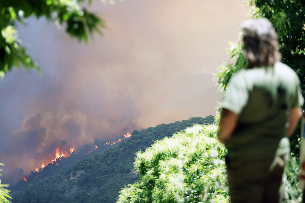 Desalojados por el incendio regresan a sus casas. EP