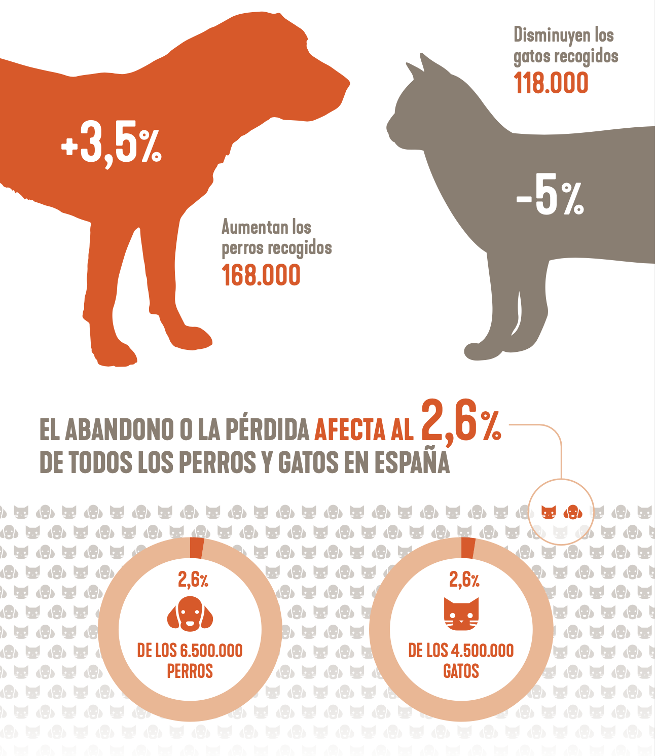 El abandono o pérdica de mascotas afecta al 2,6% de todos los perros y gatos en España ©Fundación Affinity