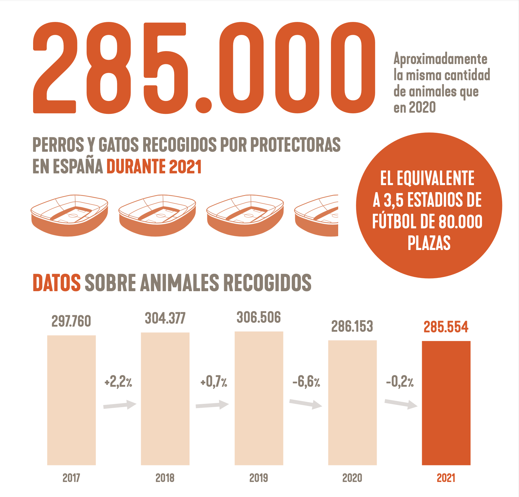 285.000 perros y gatos fueron recogidos por las protectoras en España durante 2021 ©Fundación Affinity