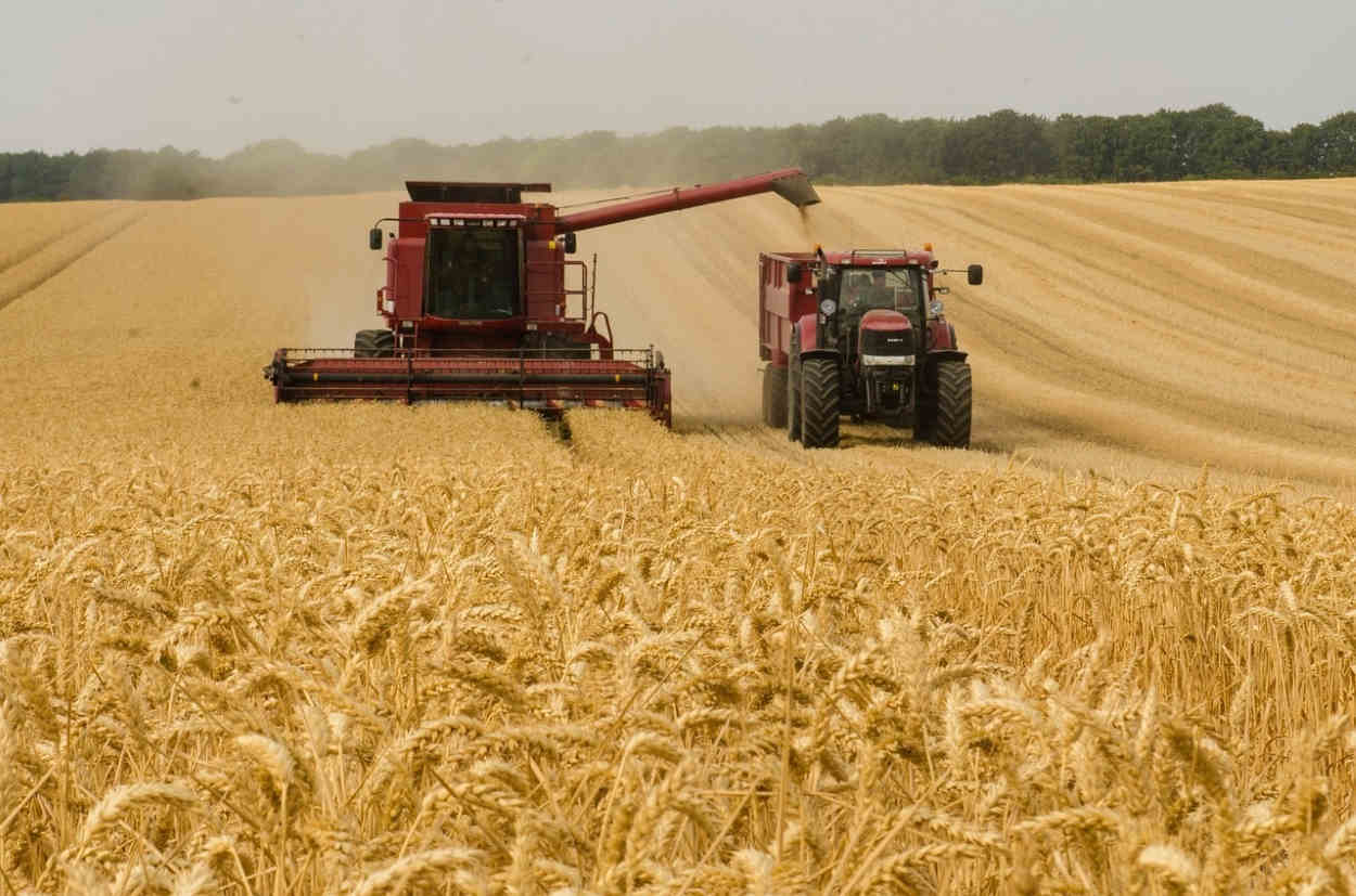 Un agricultor cosechando en el campo. Europa Press