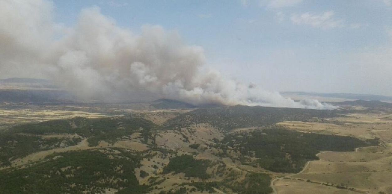 Incendio en Castejón de Tornos (Teruel)- Europa Press