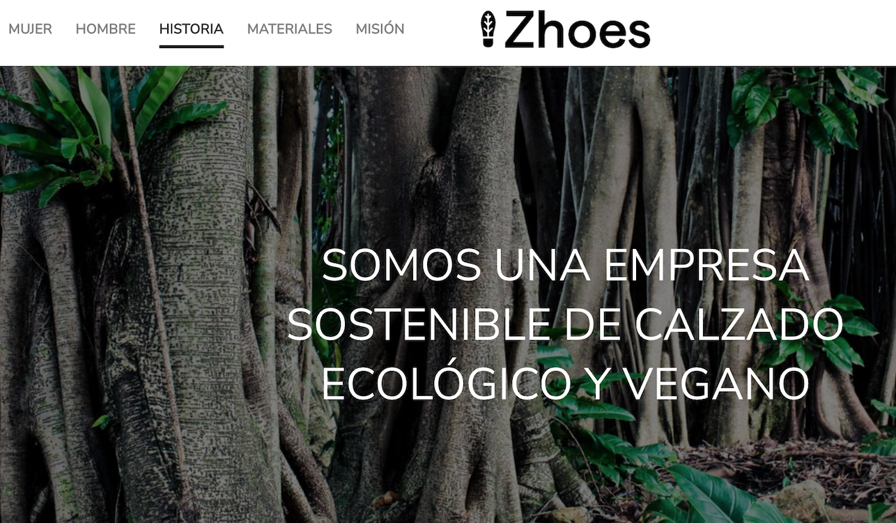 Pantallazo de la emprrresa de Álvaro Zancajo. EP Pantallazo de la emprrresa de Álvaro Zancajo. EP