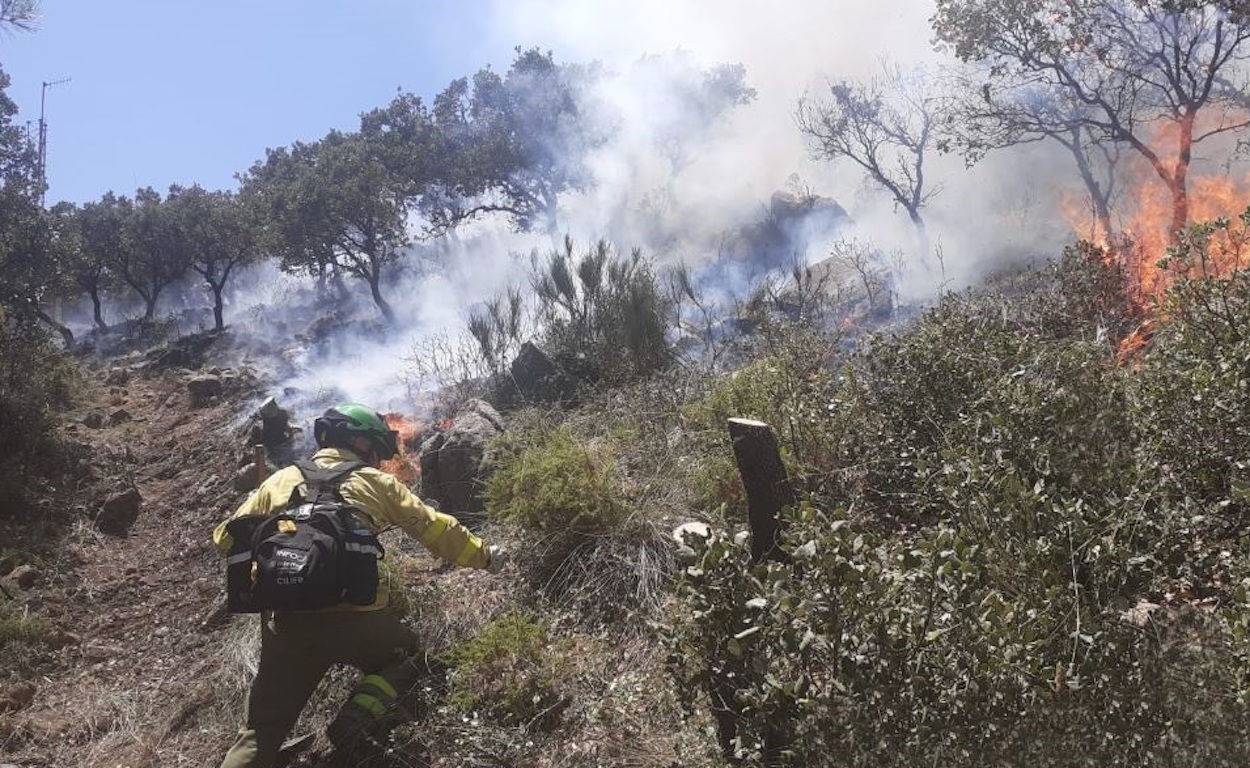 Bomberos del Infoca trabajan en la extinción del incendio forestal declarado el viernes en la sierra de Mijas.
