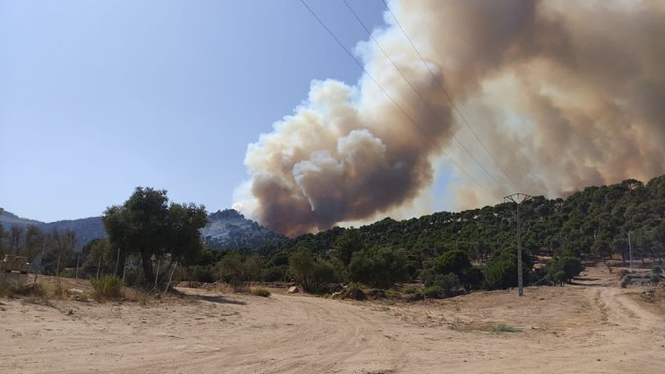 Incendio Forestal en Cebreros, Ávila. EP.