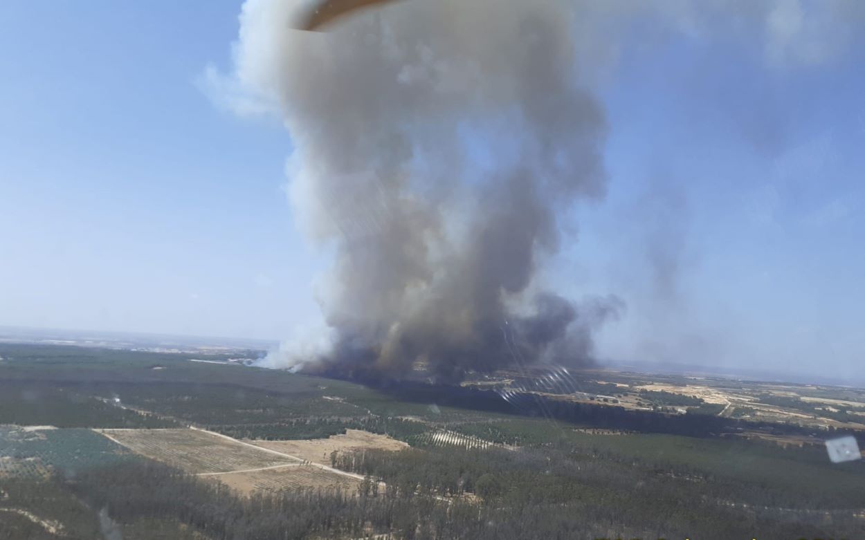 Incendio declarado en Bonares (Huelva). INFOCA