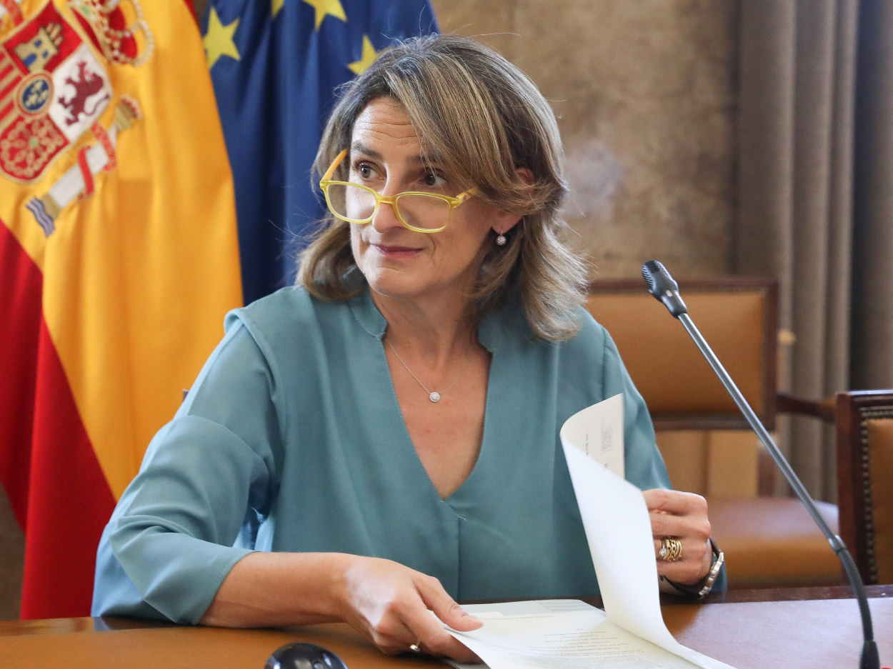 La vicepresidenta tercera y ministra para la Transición Ecológica, Teresa Ribera. EP