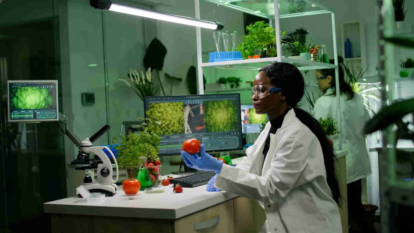 La presencia de mujeres en empleos de carácter tecnológico no alcanza el 20% . En la imagen, una científica examina una fruta en un laboratorio. EP.