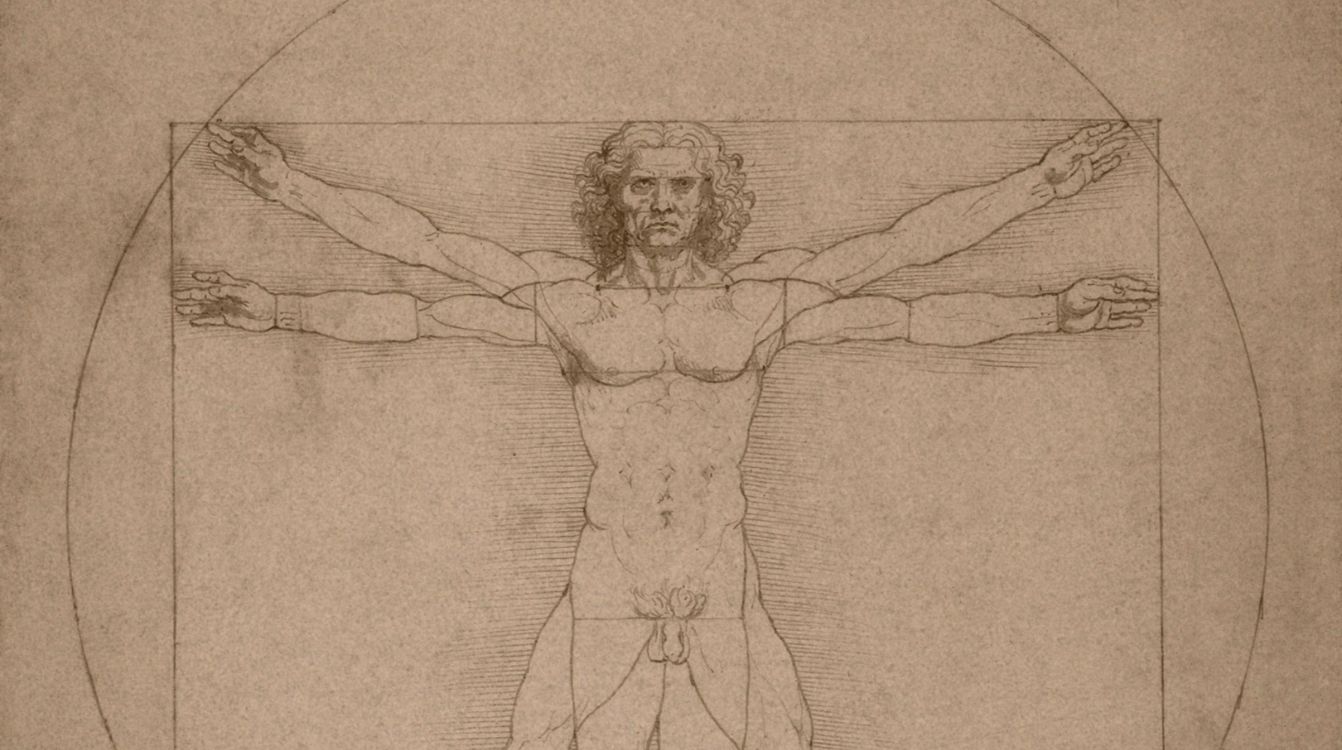 El hombre de Vitruvio de Leonardo da Vinci, hacia 1490. © Album  John Parrot   Stocktrek Images