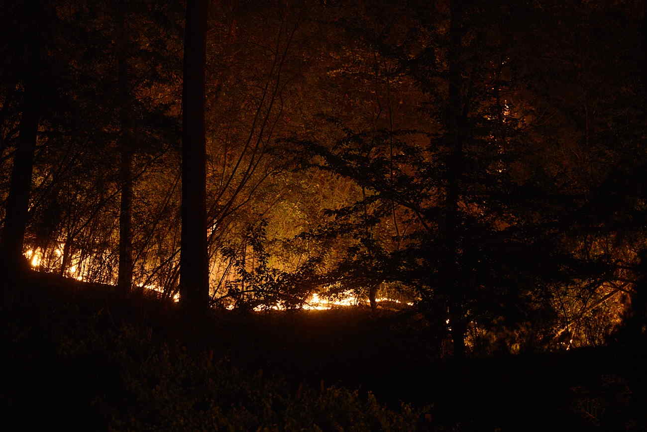 Incendio de Castrelo de Miño (Ourense)