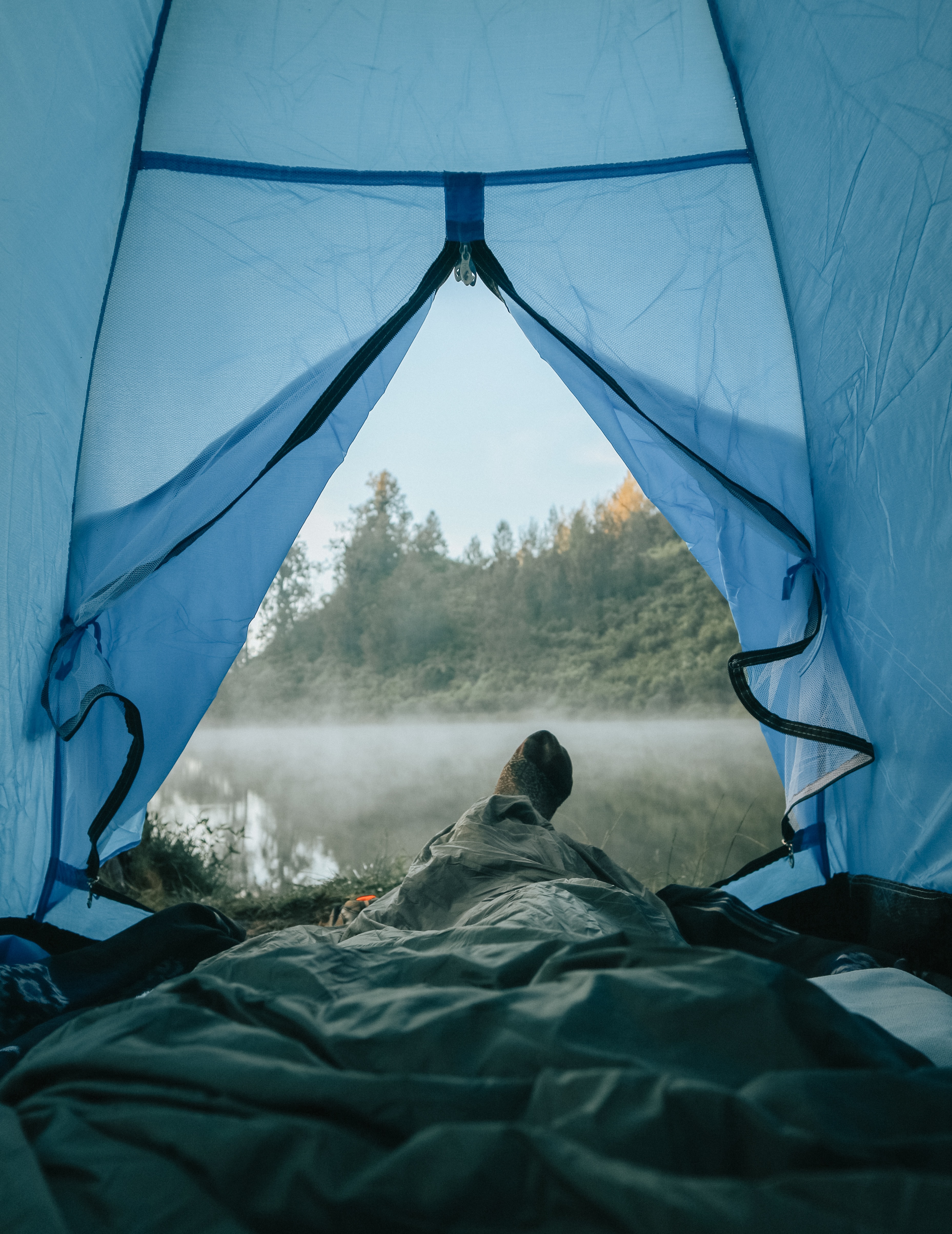 Con las altas temperaturas crece el número de mosquitos y sus picaduras