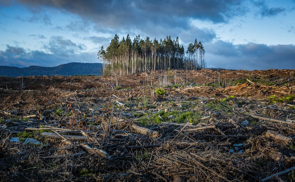 Este verano nos ha dado de bruces con la gravedad de la crisis climática y de biodiversidad