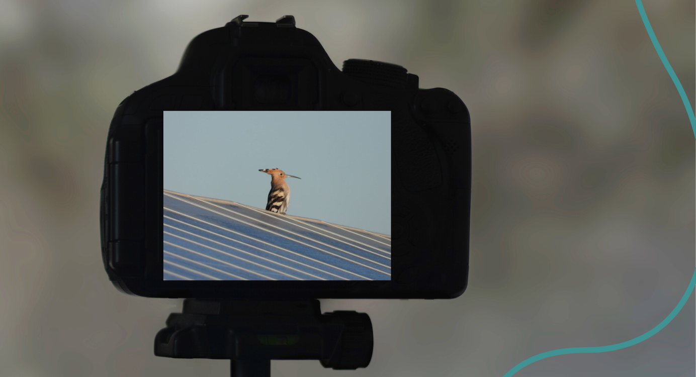 UNEF lanza el II Concurso de Fotografía PHOTOvoltaica para dar a conocer las buenas prácticas de sostenibilidad del sector. EP