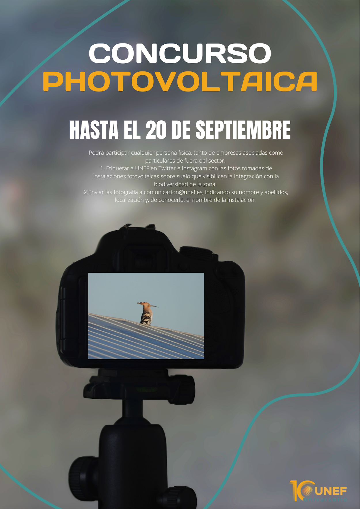 Concurso Photovoltaica Concurso Photovoltaica