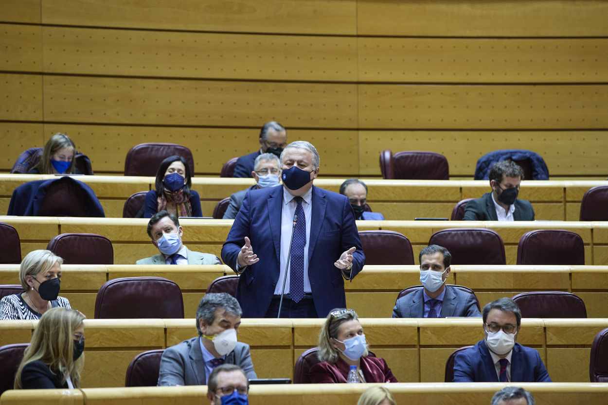 El senador del PP, Francisco Martín Bernabé, interviene en una sesión de control al Gobierno en el Senado