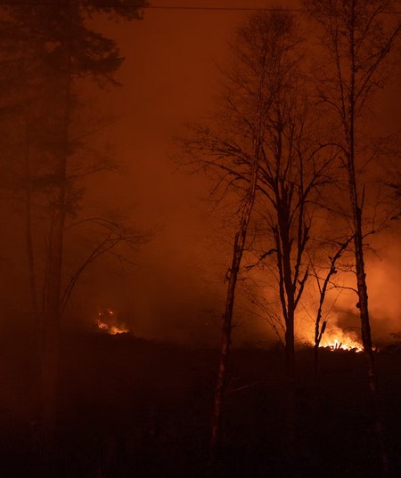 En lo que va de año, se han declarado 43 grandes incendios