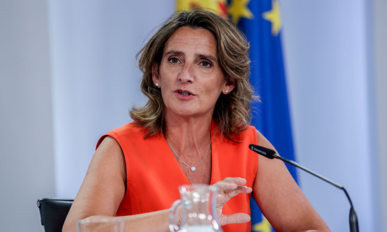 La vicepresidenta tercera del Gobierno, Teresa Ribera, durante una rueda de prensa posterior a un Consejo de Ministros. EP.