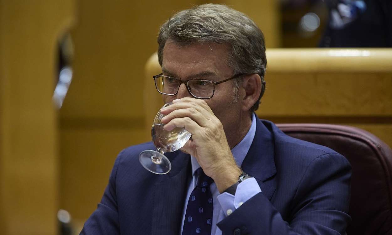Alberto Núñez Feijóo, presidente del PP, en el debate sobre la crisis energética en el Senado. EP