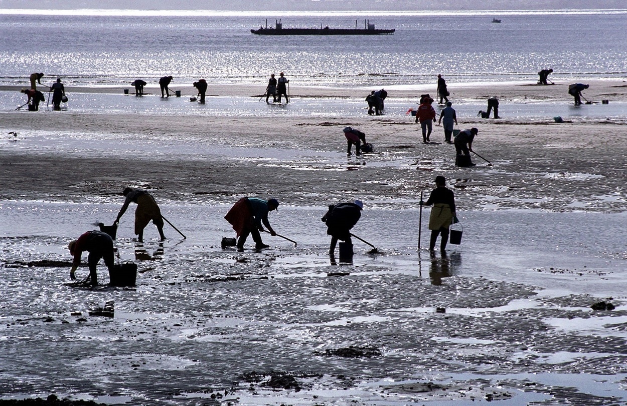 imagen de mariscadores gallegos trabajando (Foto: Europa Press / Archivo).