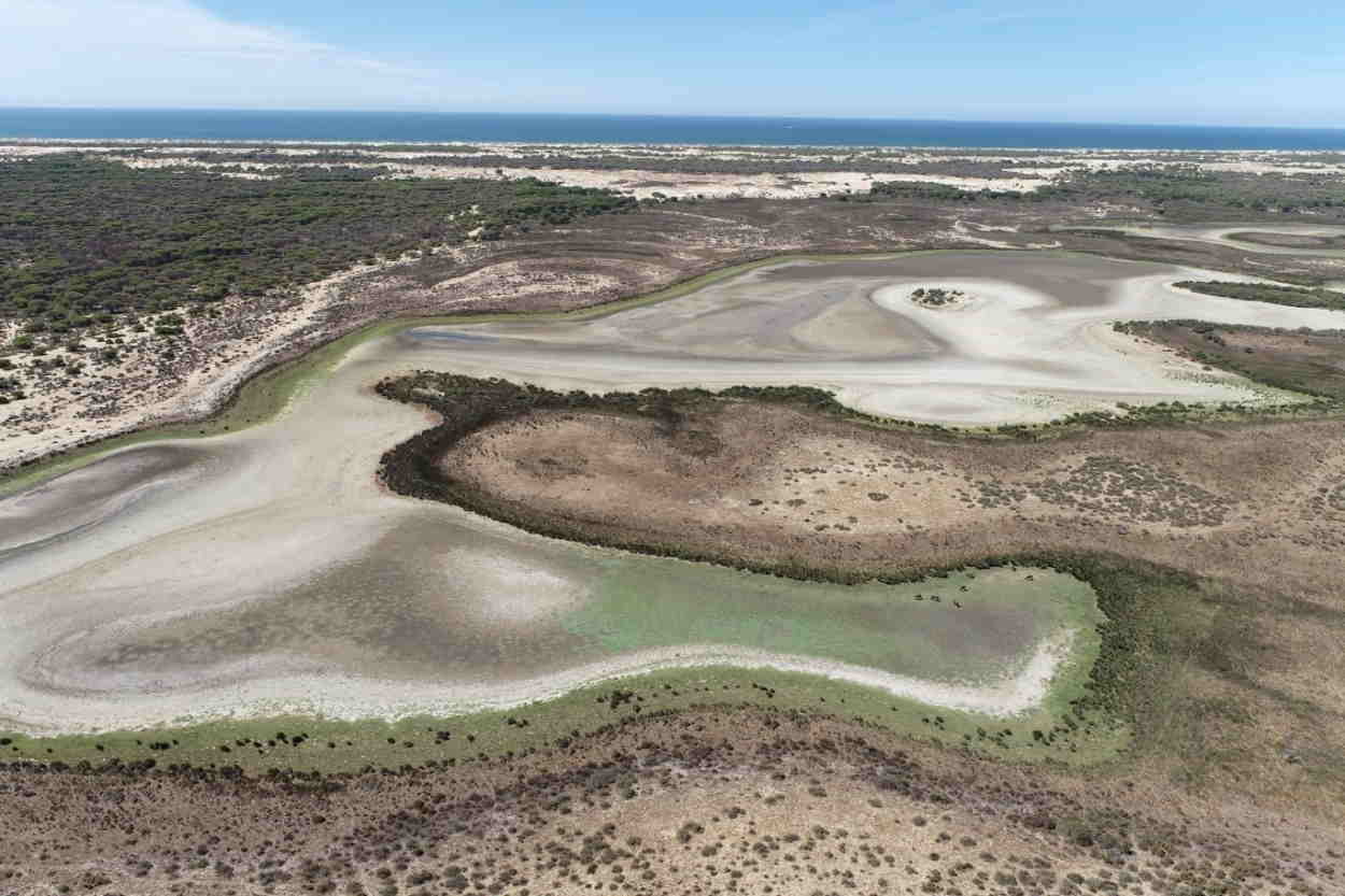 Laguna de Santa Olalla, en Doñana, seca. Europa Press