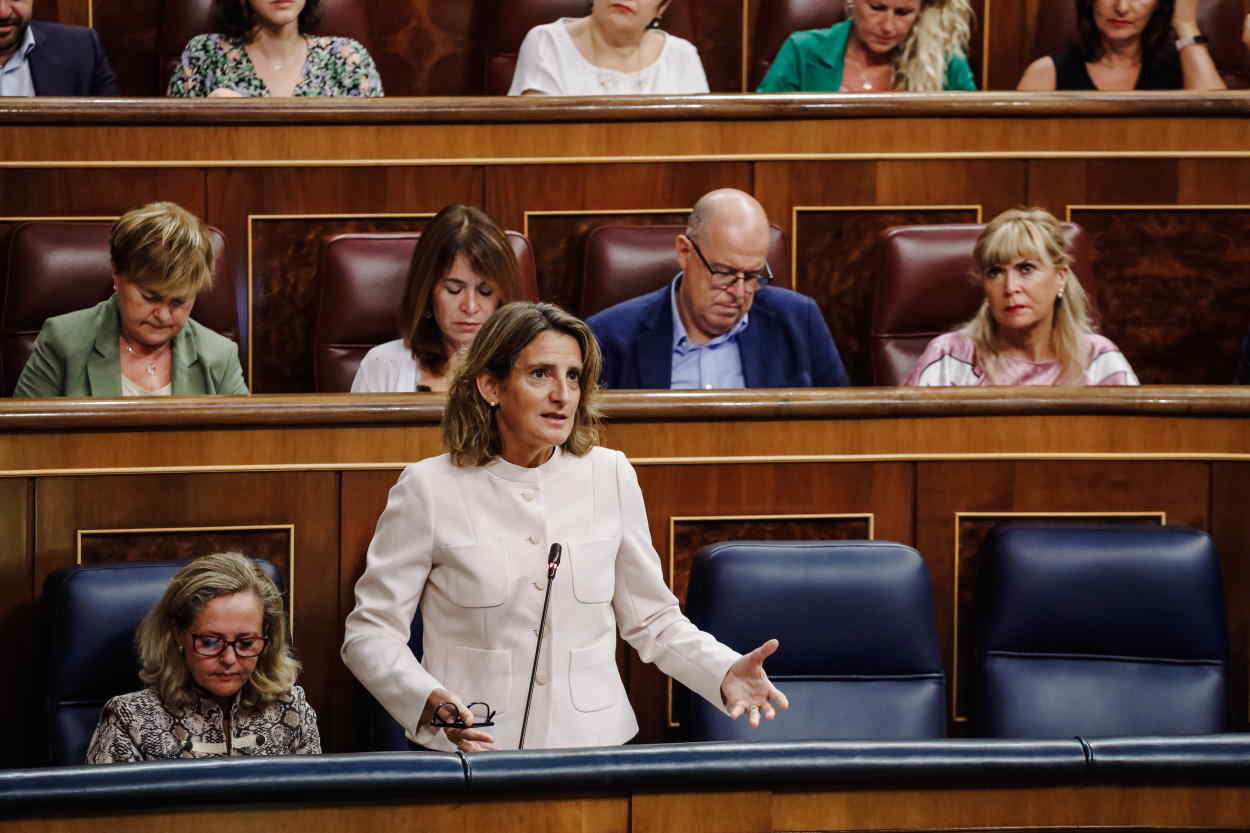 La vicepresidenta tercera y ministra para la Transición Ecológica, Teresa Ribera, interviene durante una sesión plenaria en el Congreso de los Diputados. EP