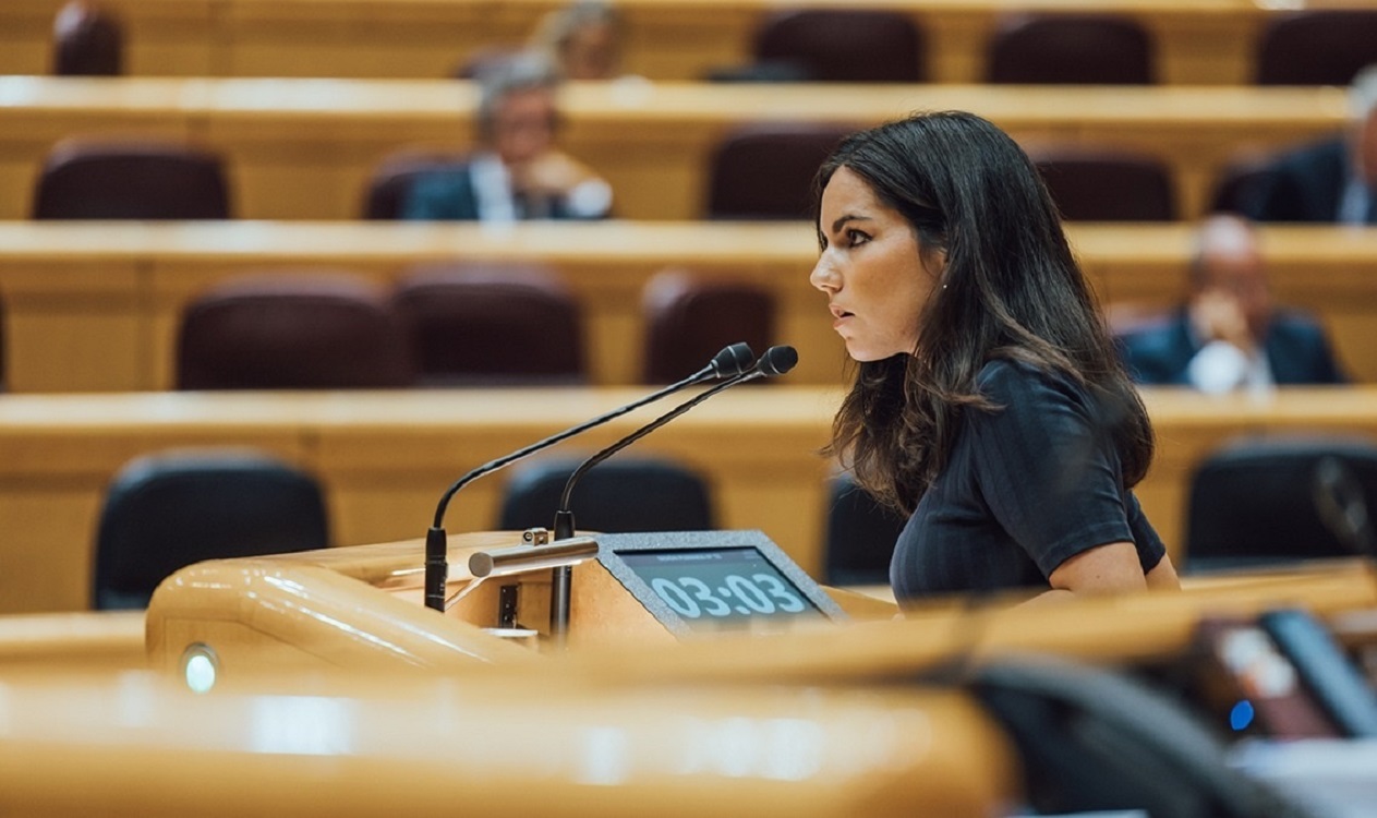 Pepa Millán interviniendo en el Senado. EP