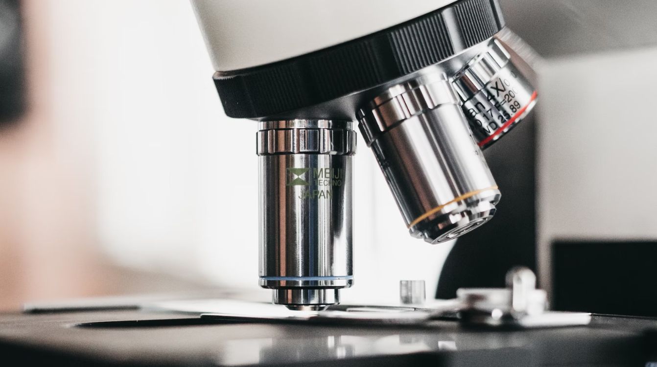 La investigación tiene una cita en los jardines de Cap Roig Foto de Unsplash