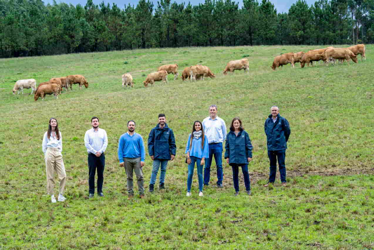 El equipo de especialistas de Reganosa, Repsol, Naturgy e Impulsa Galicia