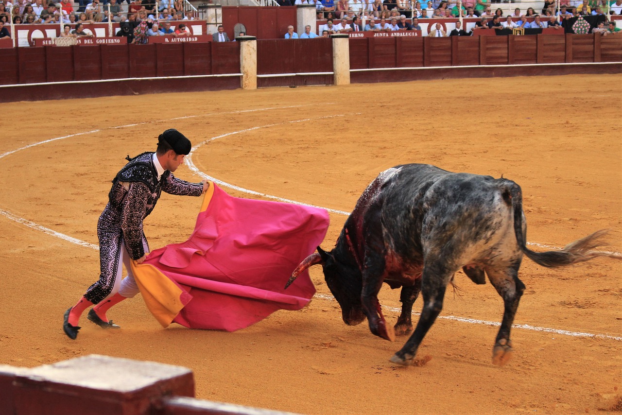 Imagen de recurso de un torero toreando. Pixabay.