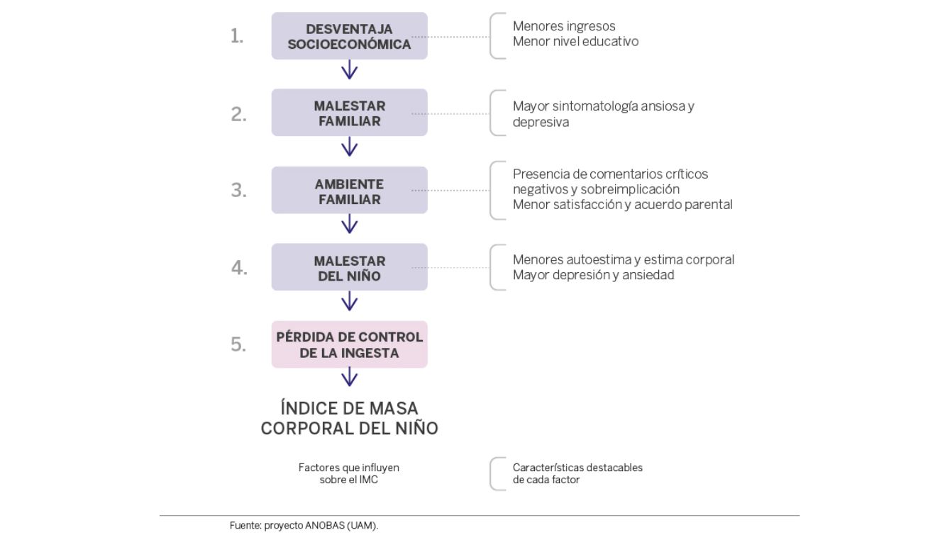 Los cinco puntos que conforman el modelo teórico